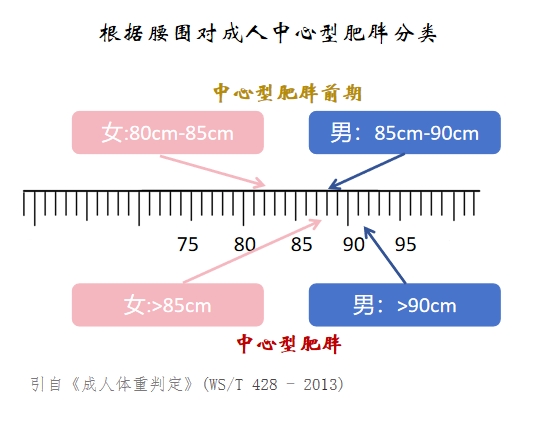 根据腰围对成人中心型肥胖分类